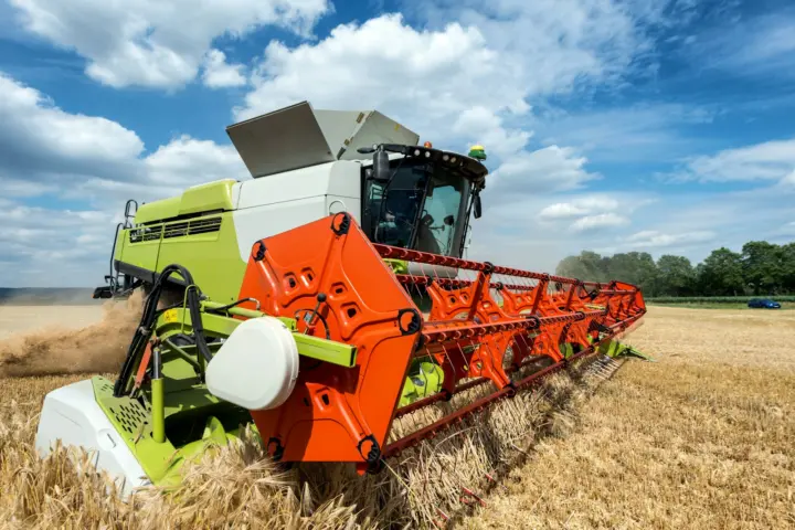 A green and orange combine in a wheat field